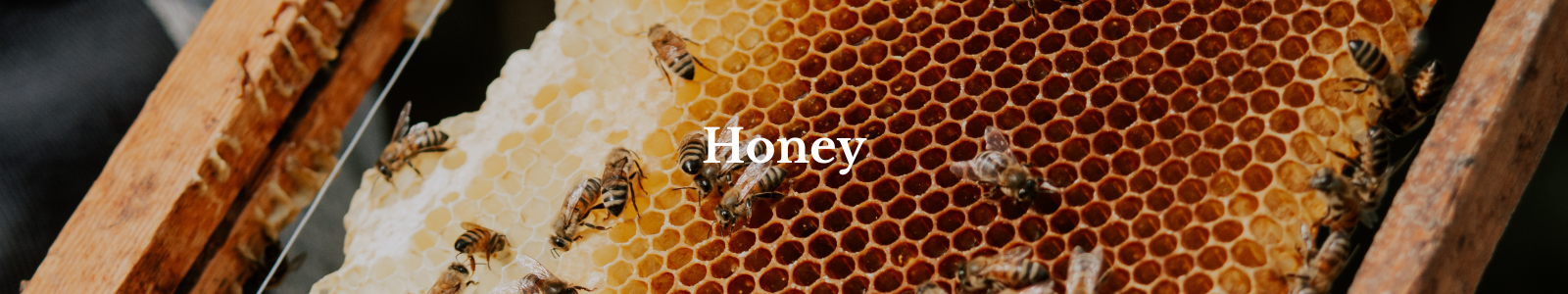 Juwelen met honingraatstructuur, zo zoet als honing en zo stoer als de bij. Geometrie van moeder natuur als modern en organisch sieraad.