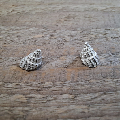 Zilveren zee schelp a-symmetrische oorstekers met de organische spiraal van de guldensnede. Duurzaam en natuurlijk ontwerp door Goudsmederij Goedbloed