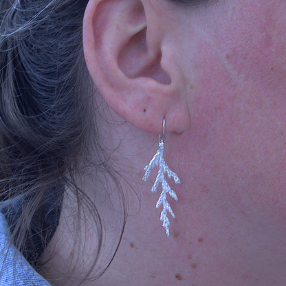 Zilveren oorhaken met het natuurlijke patroon van  een ceder tak design en handgemaakt door Goudsmederij Goedbloed op model