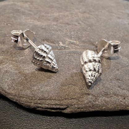 Zilveren zee schelp oorstekers met de organische spiraal van de guldensnede. Duurzaam en natuurlijk ontwerp door Goudsmederij Goedbloed