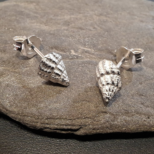 Zilveren zee schelp oorstekers met de organische spiraal van de guldensnede. Duurzaam en natuurlijk ontwerp door Goudsmederij Goedbloed